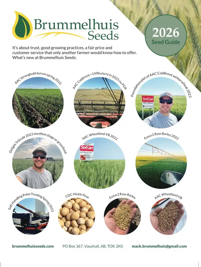 AC Morgan Oat seed - Photo 3