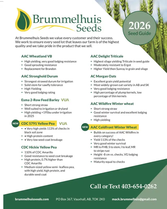 AC Morgan Oat Seed - Photo 2