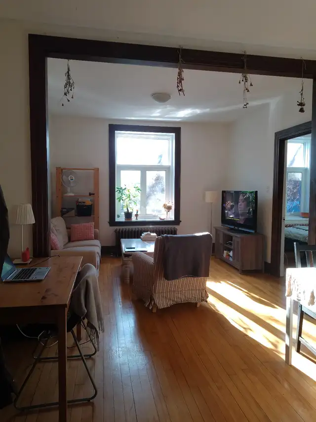 4 1/2 sur plateau Mont-Royal - Juillet - Photo 3