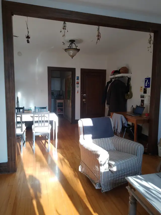 4 1/2 sur plateau Mont-Royal - Juillet - Photo 4