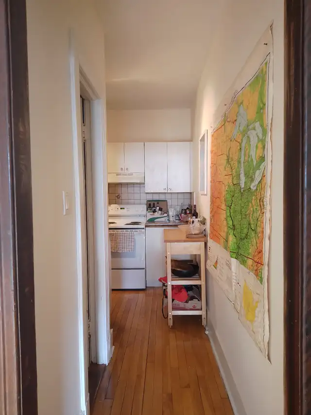 4 1/2 sur plateau Mont-Royal - Juillet - Photo 5