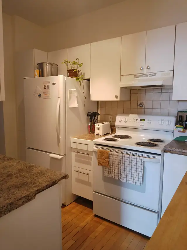 4 1/2 sur plateau Mont-Royal - Juillet - Photo 7