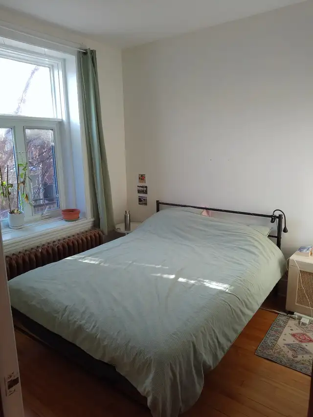 4 1/2 sur plateau Mont-Royal - Juillet - Photo 10