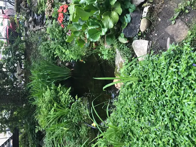 Loft lumineux 4 ½ tout inclus à St-Roch – dernier étage - Photo 9