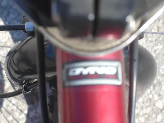 OLD SCHOOL 20' DYNO SERIES TRICK BMX WITH REAR STUNT PEGS! - Photo 5