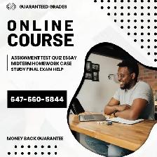 Assignment Help Essays Help Homework Help Lab Help All 100% Pass