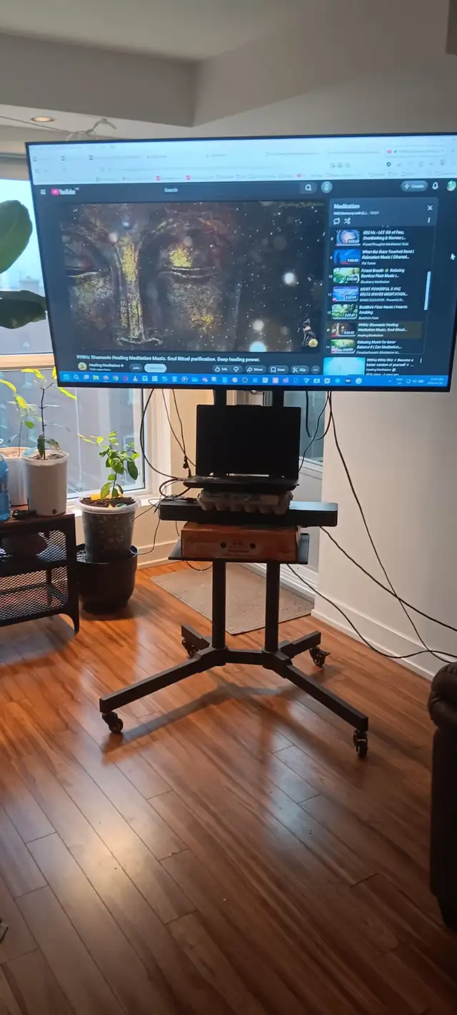 58' Big Screen TV Bundle   Bose Soundbar   Rolling Stand - Compl