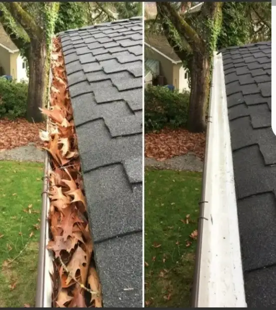 Gutter/Window Cleaning - FREE QUOTES CALL OR TEXT 519-710-0530