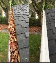 Gutter/Window Cleaning - FREE QUOTES CALL OR TEXT 519-710-0530