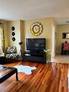 Everything Heat Lights Internet Furnished Apt. Downtown Aug 1 !