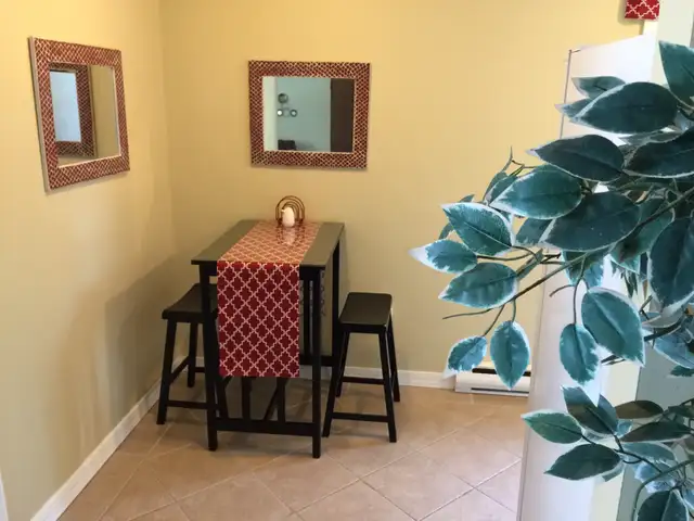 Everything Heat Lights Internet Furnished Apt. Downtown Aug 1 ! - Photo 5