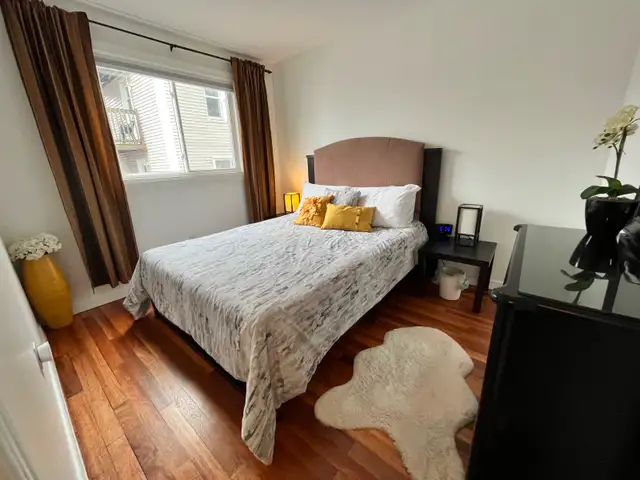 Everything Heat Lights Internet Furnished Apt. Downtown Aug 1 ! - Photo 8