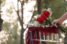 Wedding Event Photographers (husband & wife team) Photography - Photo 6
