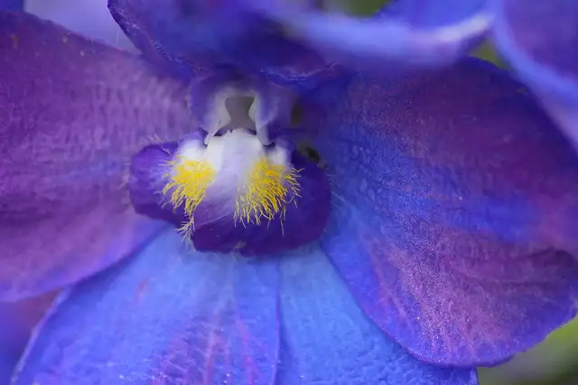 Wedding Event Photographers (husband & wife team) Photography - Photo 8