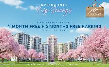 2bdrm Apartment for Rent - 245 Lakeshore Drive