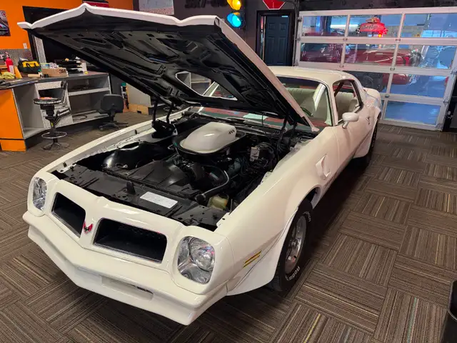 1976 Trans am 455 '' match number'' - Photo 6