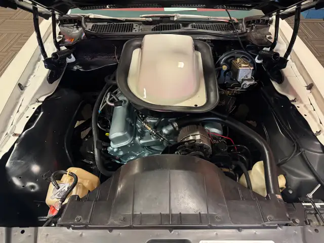 1976 Trans am 455 '' match number'' - Photo 7