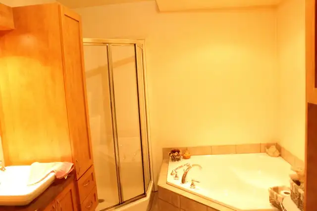 Rue Louis Thisdel BEAU GRAND 4 1/2 STYLE CONDO Disponible 1 Juin - Photo 4