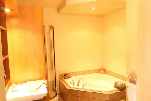 Rue Louis Thisdel BEAU GRAND 4 1/2 STYLE CONDO Disponible 1 Juin - Photo 6