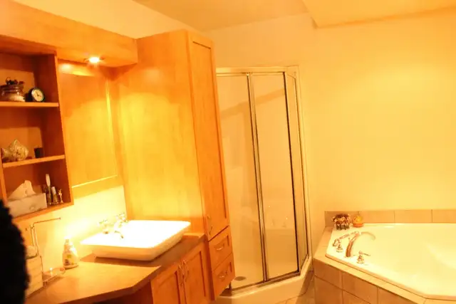 Rue Louis Thisdel BEAU GRAND 4 1/2 STYLE CONDO Disponible 1 Juin - Photo 7