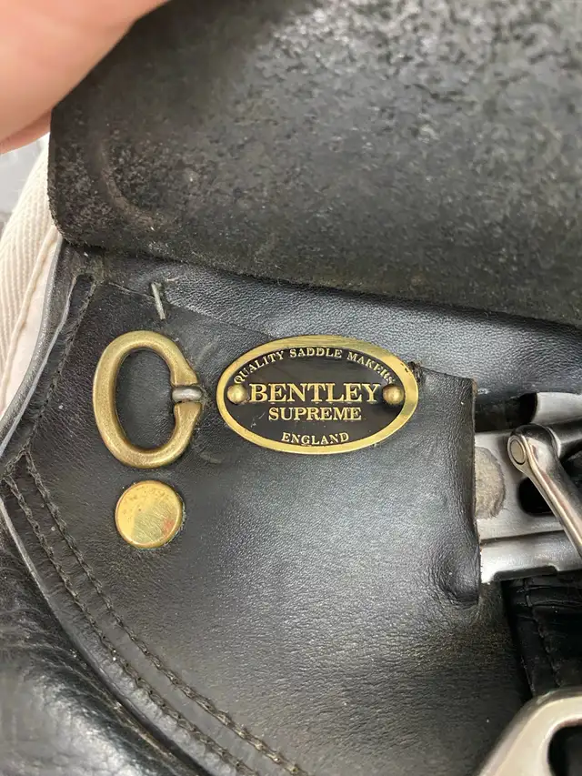 16.5" Bentley dressage saddle - Photo 4