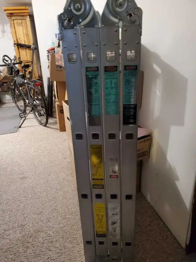 Multifunction ladder