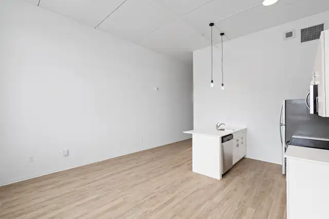 2 Bed 1 Bath Apartment  –216 Princess St Move-In Ready - Photo 2