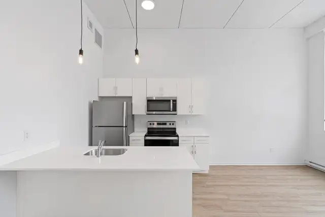 2 Bed 1 Bath Apartment  –216 Princess St Move-In Ready - Photo 3