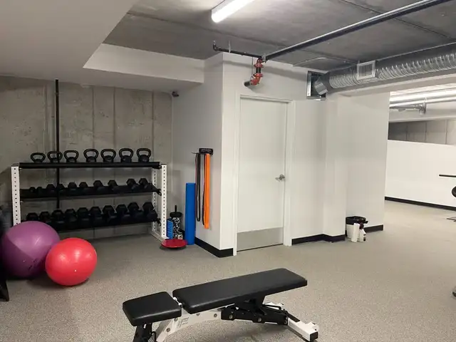 2 Bed 1 Bath Apartment  –216 Princess St Move-In Ready - Photo 13