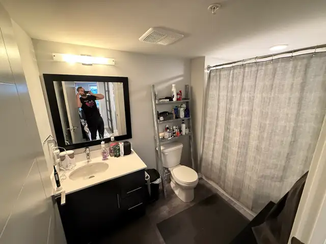 Roommate wanted 2 bed 2 bath apartment - Photo 8