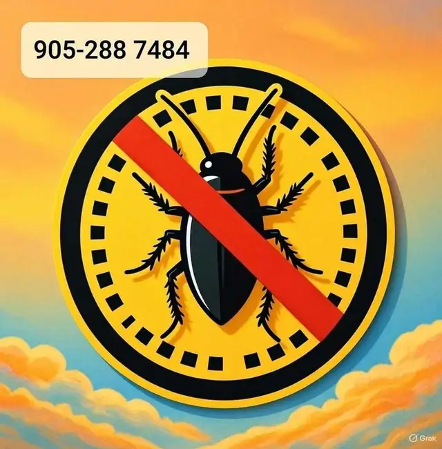Pest control, wasps bees Wildlife Removal