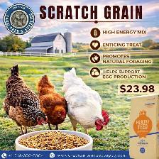 Scratch Grain – Happy, Healthy Flocks!