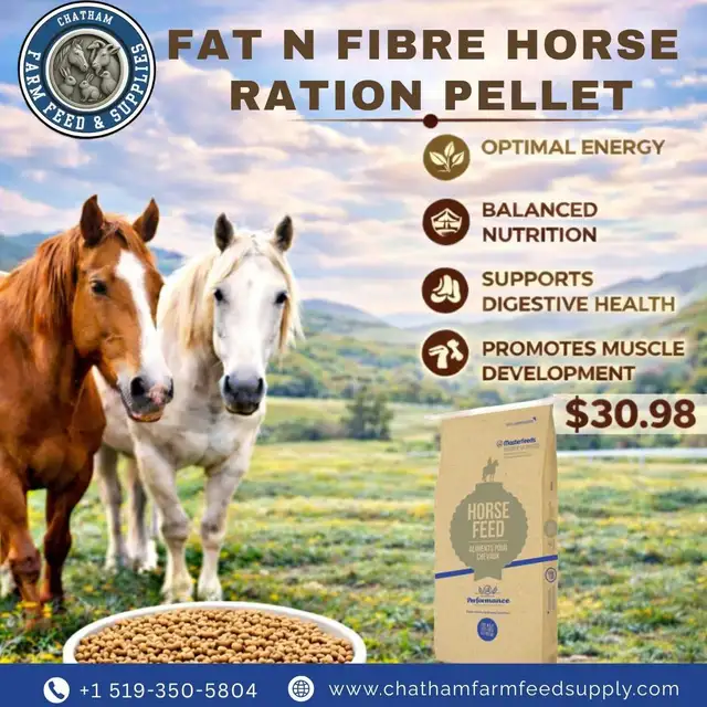 Fat n Fibre Horse Ration Pellet – Fuel for Strength & Stamina!