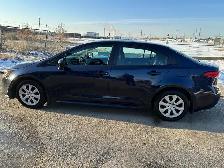 2020 Toyota Corolla LE - Photo 6