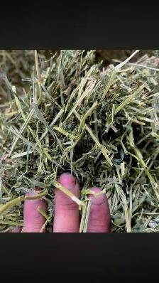 Alfalfa and grass / alfalfa mix hay
