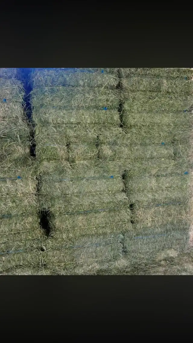 Alfalfa and grass / alfalfa mix hay - Photo 3