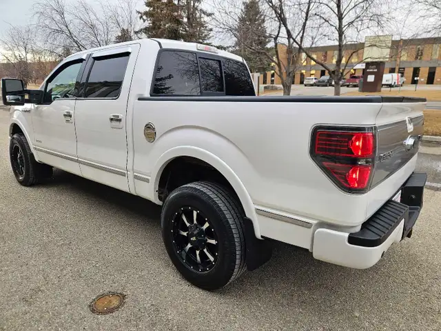 2011 Ford F-150 Platinum 3.5L V6 EcoBoost - Photo 3