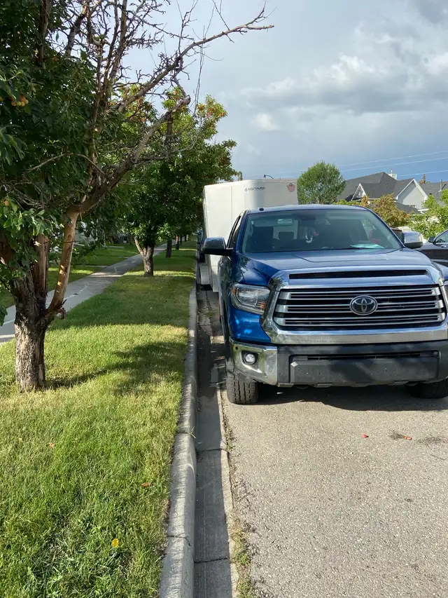 2 guys with a truck and trailer