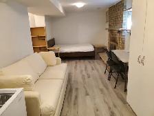 Batchelor basement apartment in Thornhill