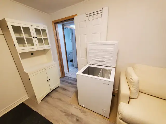 Batchelor basement apartment in Thornhill - Photo 4