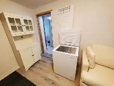 Batchelor basement apartment in Thornhill - Photo 4