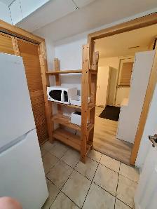 Batchelor basement apartment in Thornhill - Photo 8