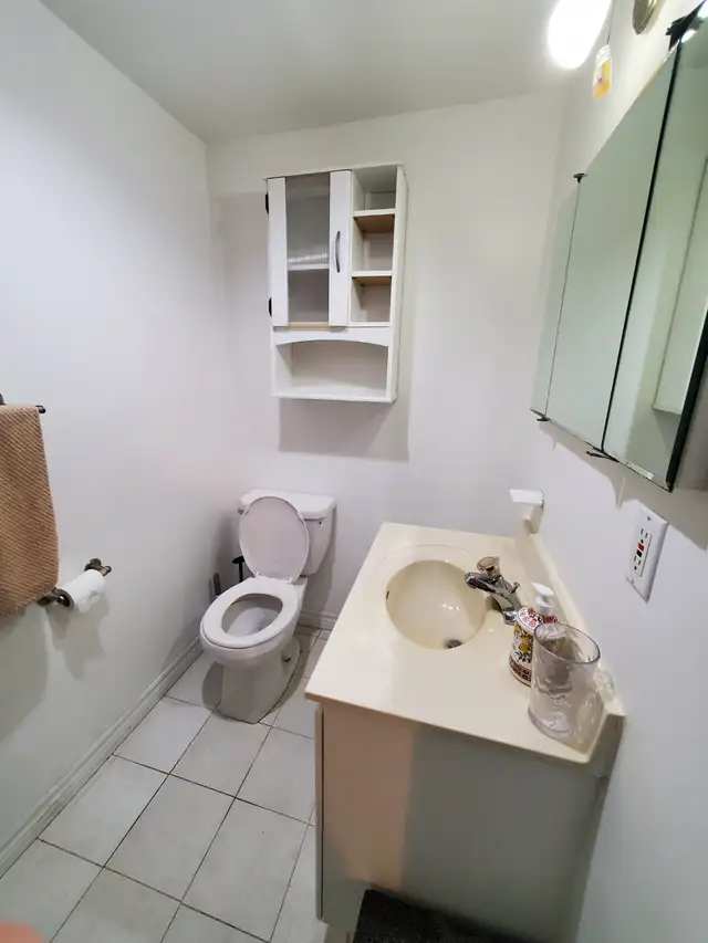 Batchelor basement apartment in Thornhill - Photo 9