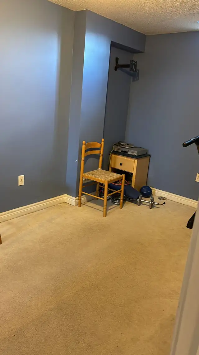 Fully Furnished 2-Bedroom Basement Apartment for Rent - Photo 3