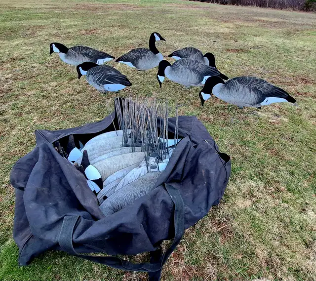 Dive Bomb v2f decoys