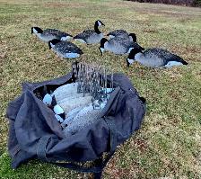 Dive Bomb v2f decoys