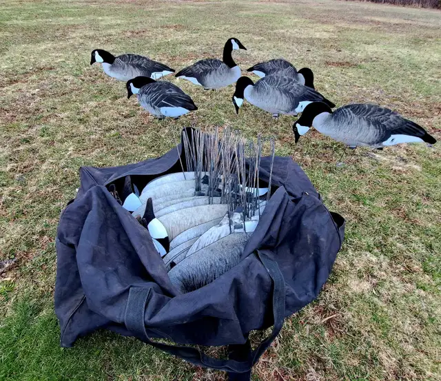 Dive Bomb v2f decoys - Photo 3