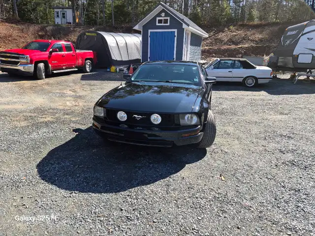 2005 mustang - Photo 7