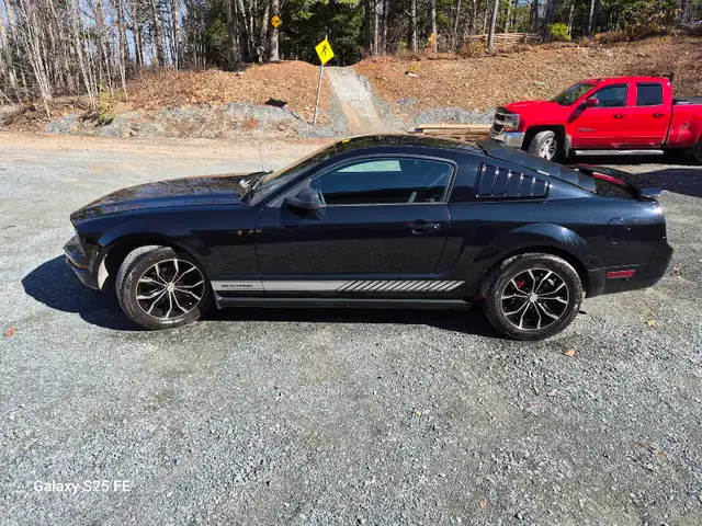 2005 mustang - Photo 8