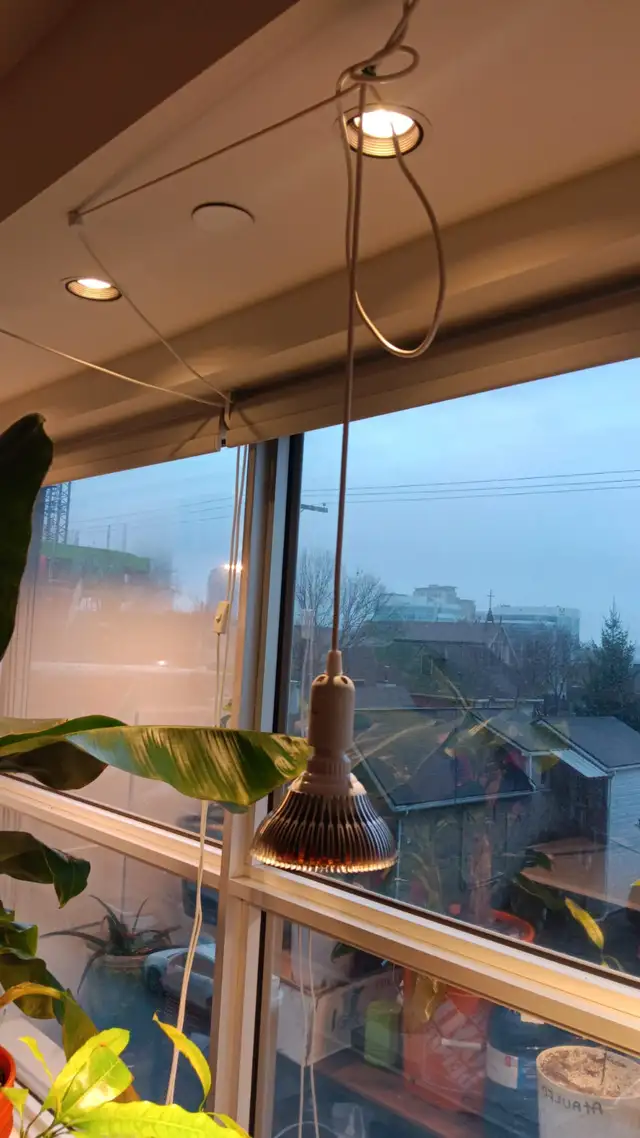 150W Equivalent LED Grow Lights (Pair) - Full Setup - $45 - Photo 3